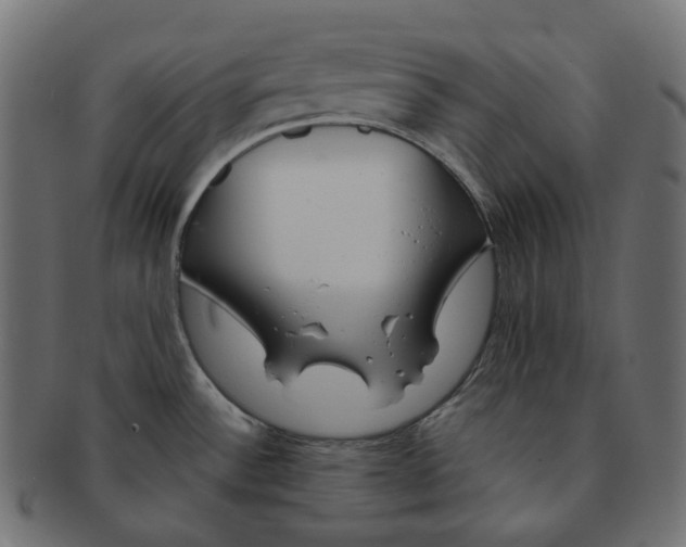 X0000091721532200709210951