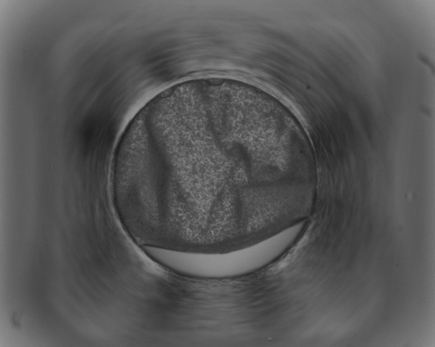 X0000091721533200709210951