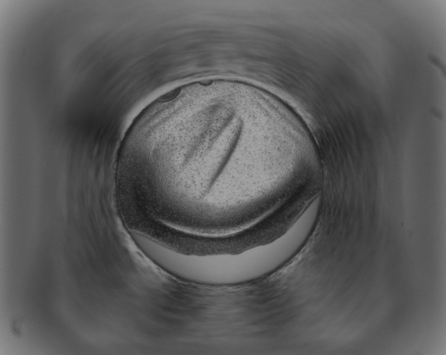 X0000091721534200709210951