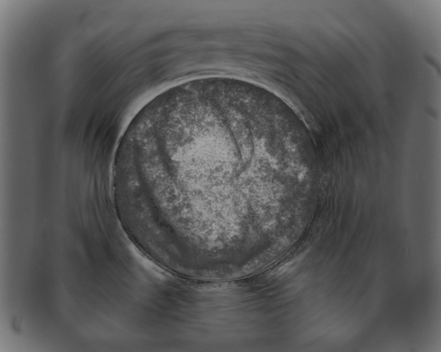 X0000091721535200709210951