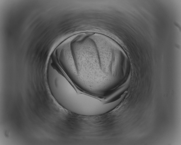 X0000091721536200709210951