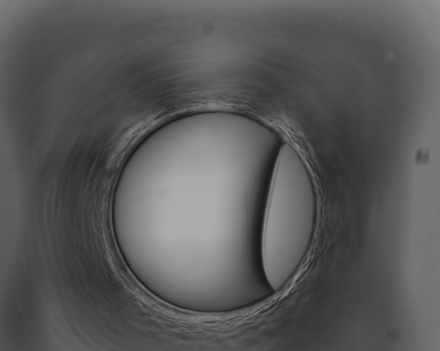 X0000091730001200708241055
