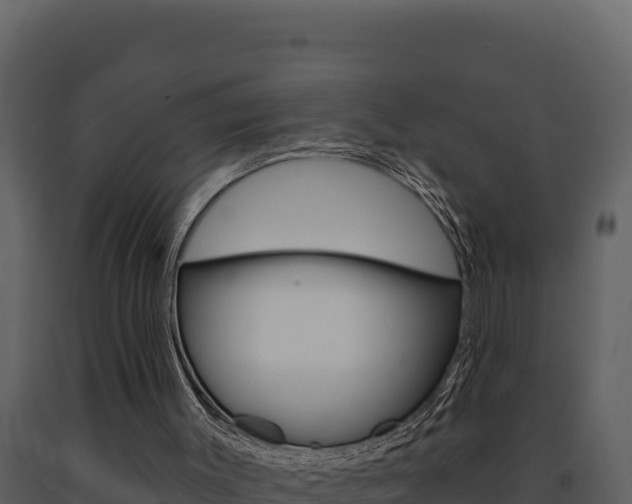 X0000091730003200708241055