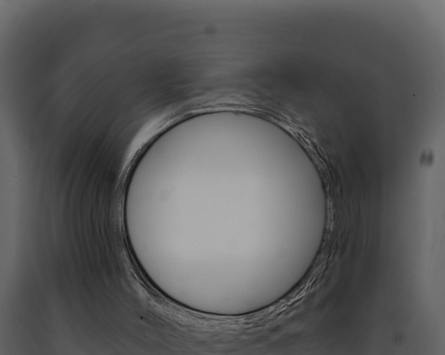X0000091730004200708241055