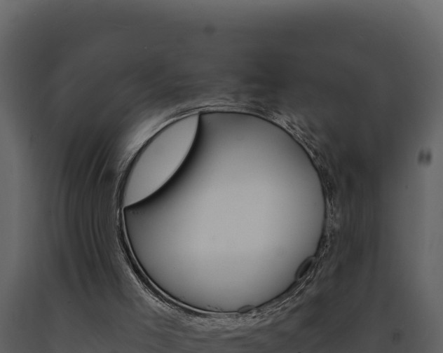 X0000091730005200708241055