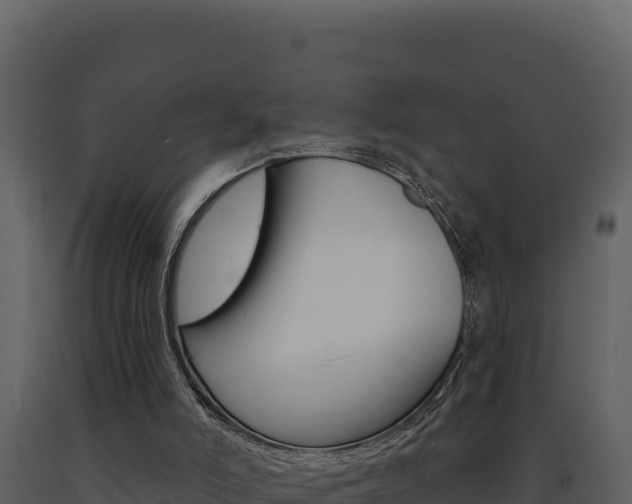 X0000091730006200708241055