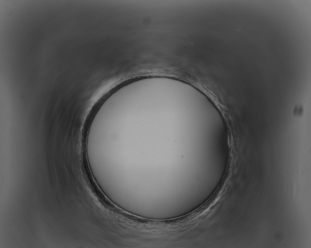X0000091730008200708241055