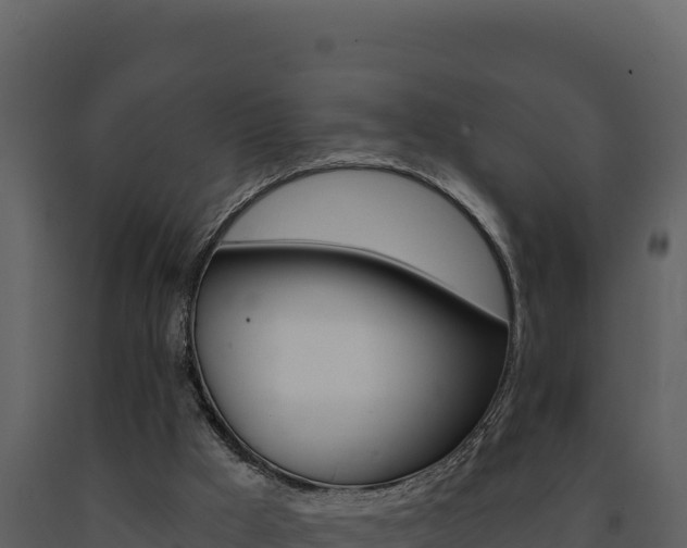 X0000091730009200708241055