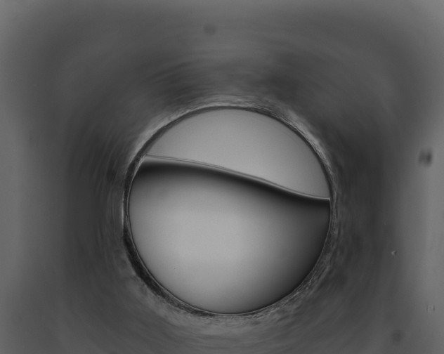 X0000091730011200708241055