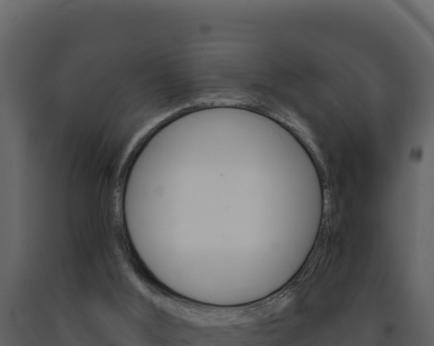 X0000091730012200708241055