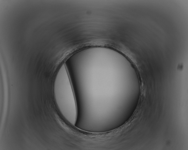 X0000091730013200708241055