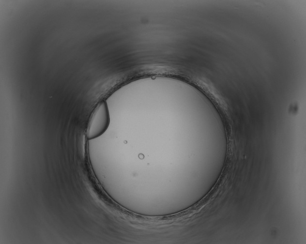 X0000091730014200708241055