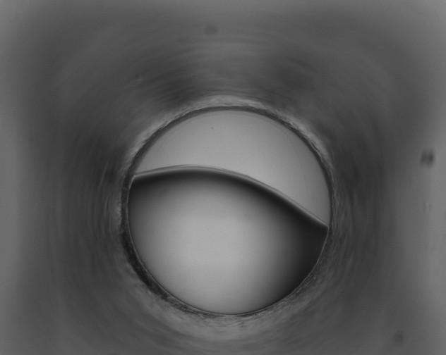 X0000091730015200708241055