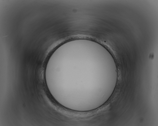 X0000091730016200708241055