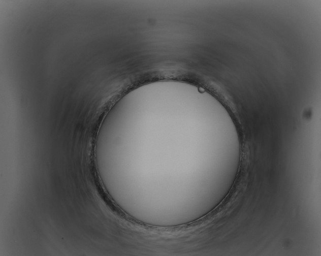 X0000091730018200708241055