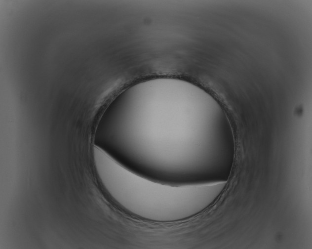 X0000091730019200708241055