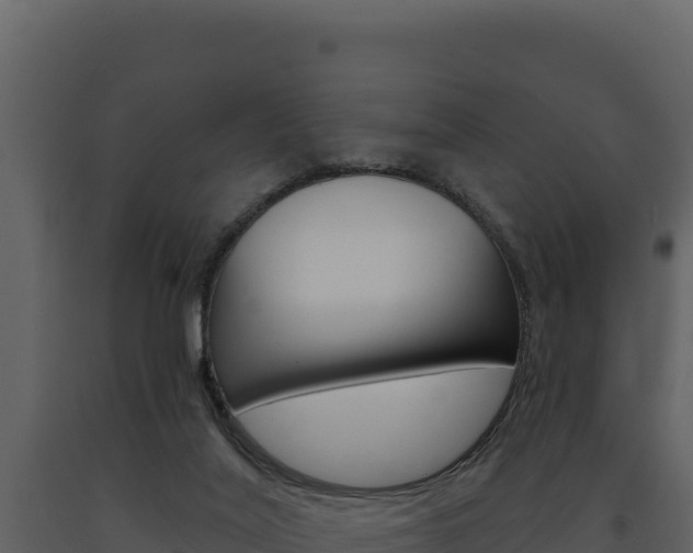 X0000091730020200708241055