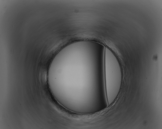 X0000091730021200708241055