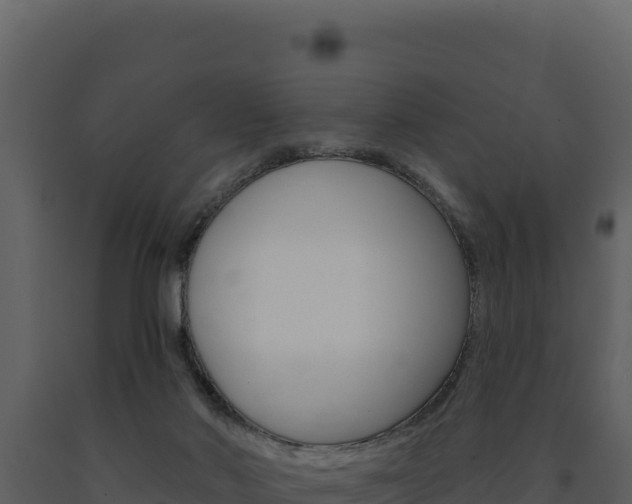 X0000091730022200708241054