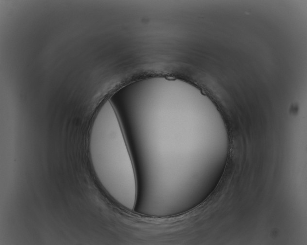 X0000091730023200708241054