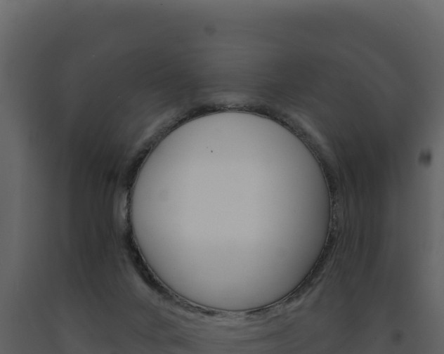 X0000091730024200708241054