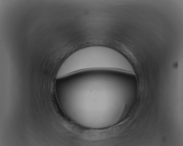 X0000091730025200708241054