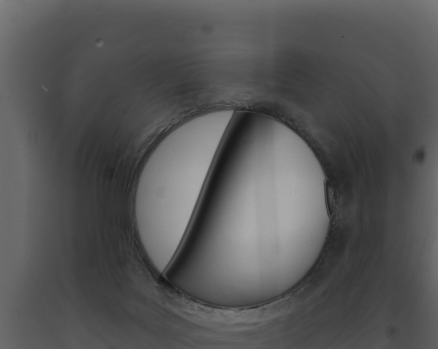 X0000091730027200708241054