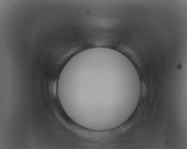 X0000091730028200708241054