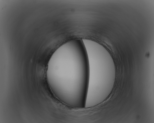 X0000091730029200708241054