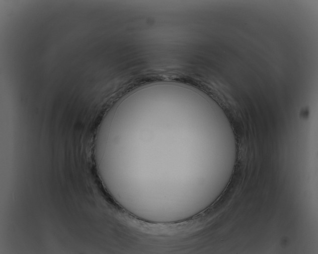 X0000091730030200708241054