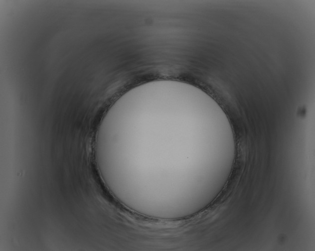 X0000091730032200708241054