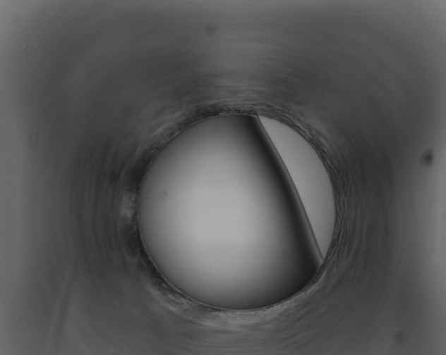 X0000091730033200708241054
