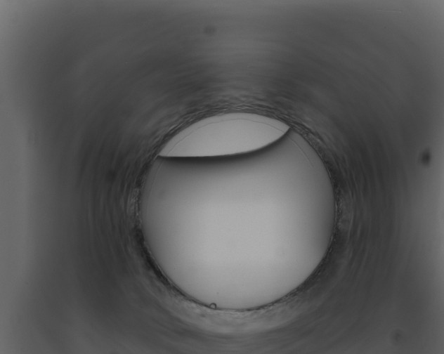 X0000091730034200708241054