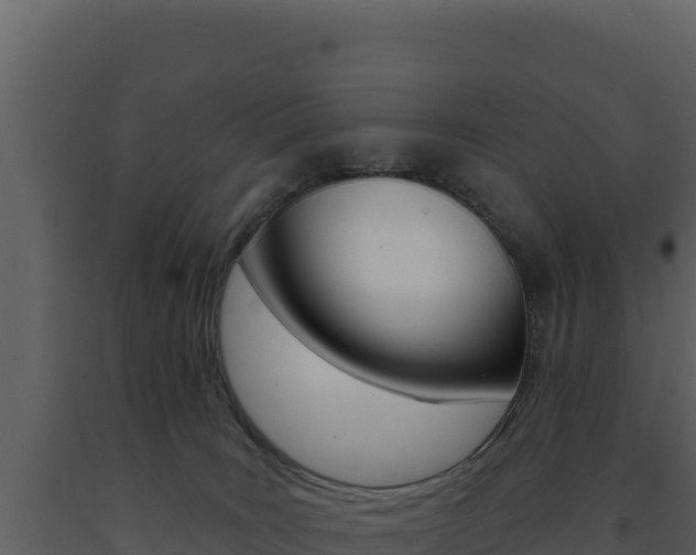 X0000091730035200708241054