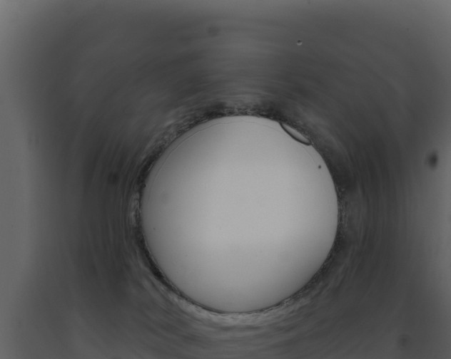 X0000091730038200708241054