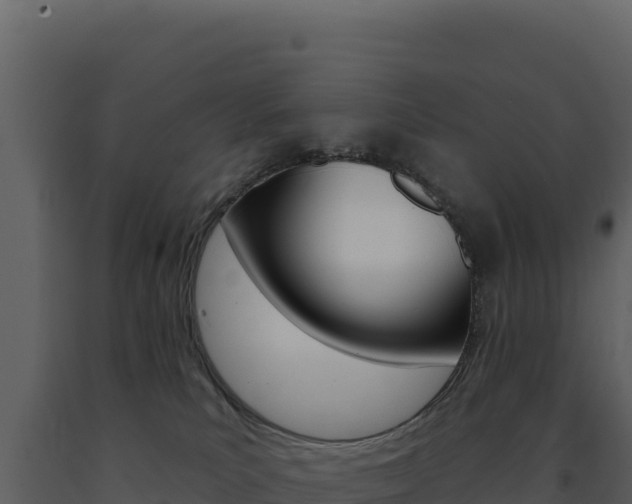 X0000091730039200708241054