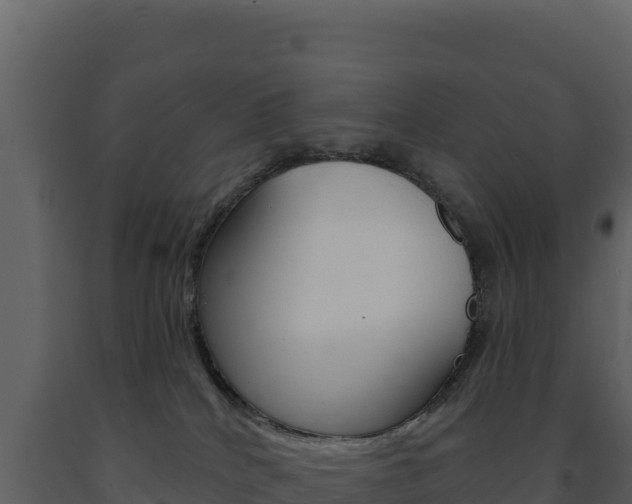 X0000091730040200708241054