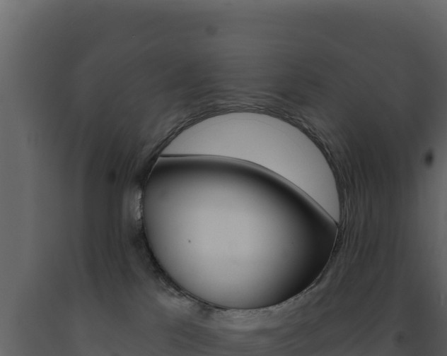 X0000091730041200708241054