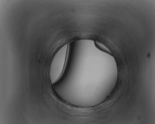 X0000091730044200708241054