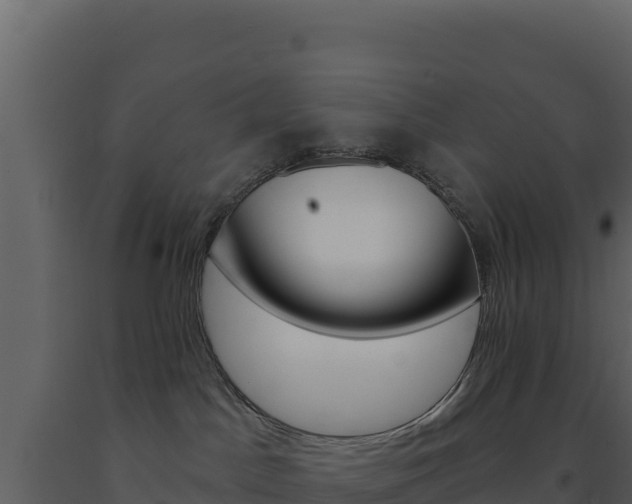 X0000091730045200708241054