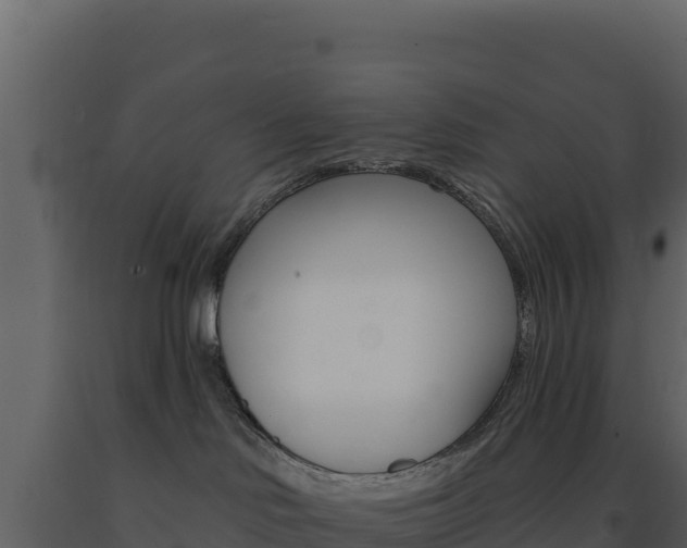 X0000091730046200708241054