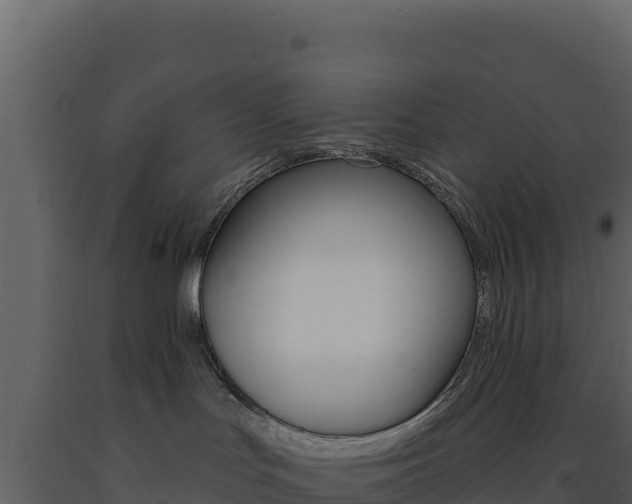 X0000091730047200708241054