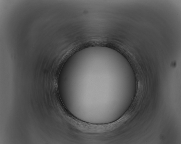 X0000091730048200708241054