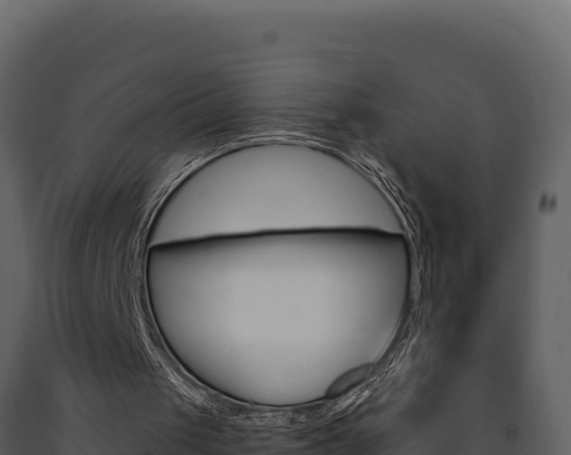 X0000091730049200708241053