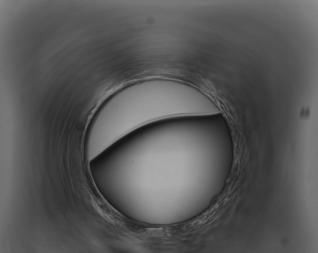 X0000091730050200708241053