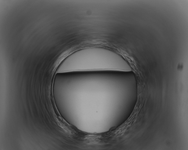 X0000091730051200708241054