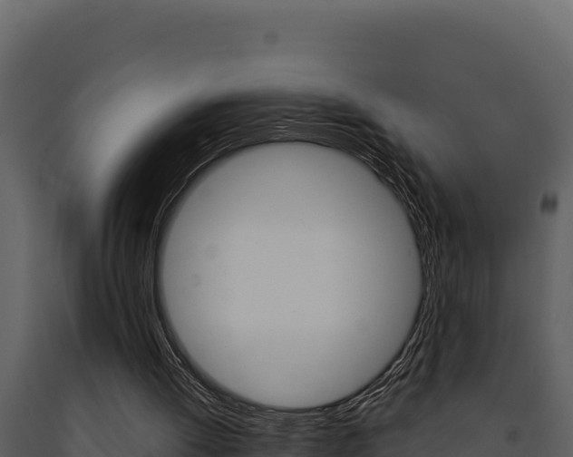 X0000091730052200708241054