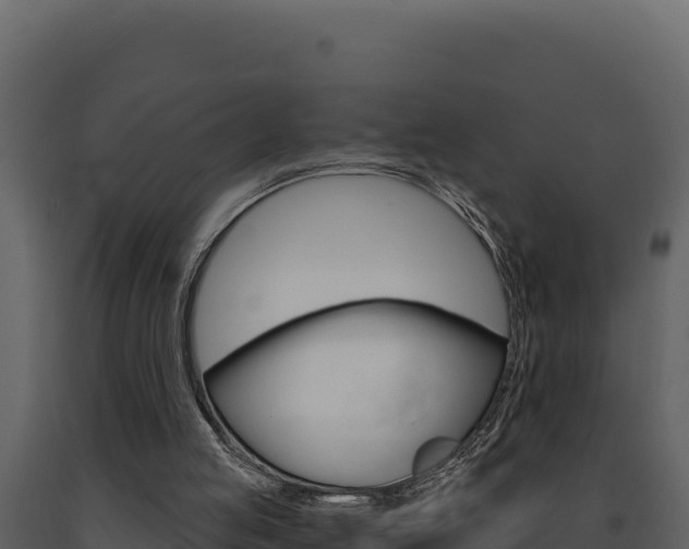 X0000091730053200708241054