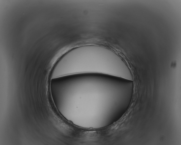 X0000091730054200708241054