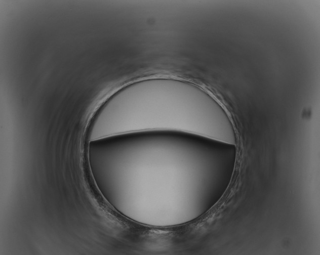 X0000091730055200708241054
